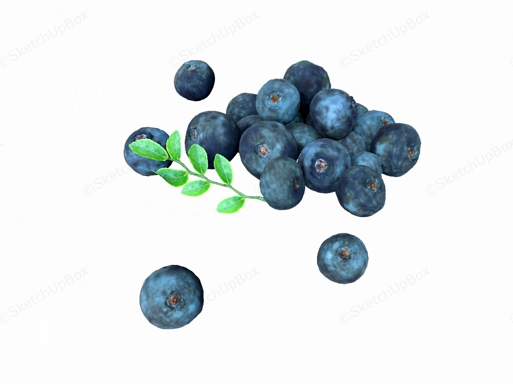 Blueberry Fruit sketchup model preview - SketchupBox