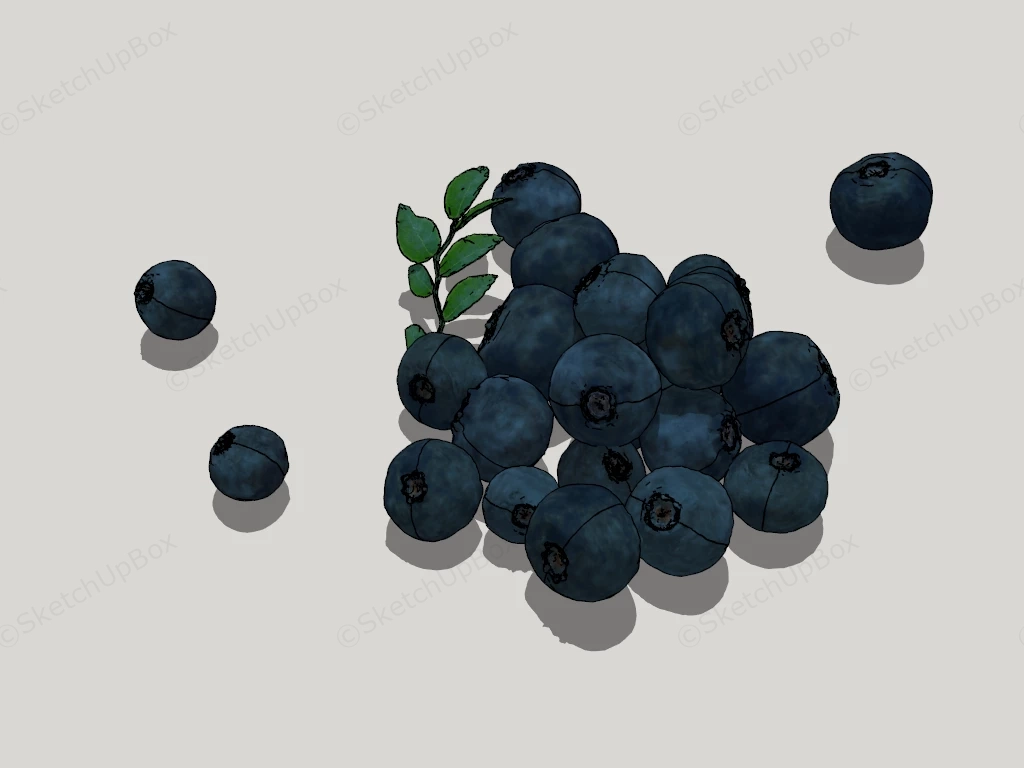 Blueberry Fruit sketchup model preview - SketchupBox