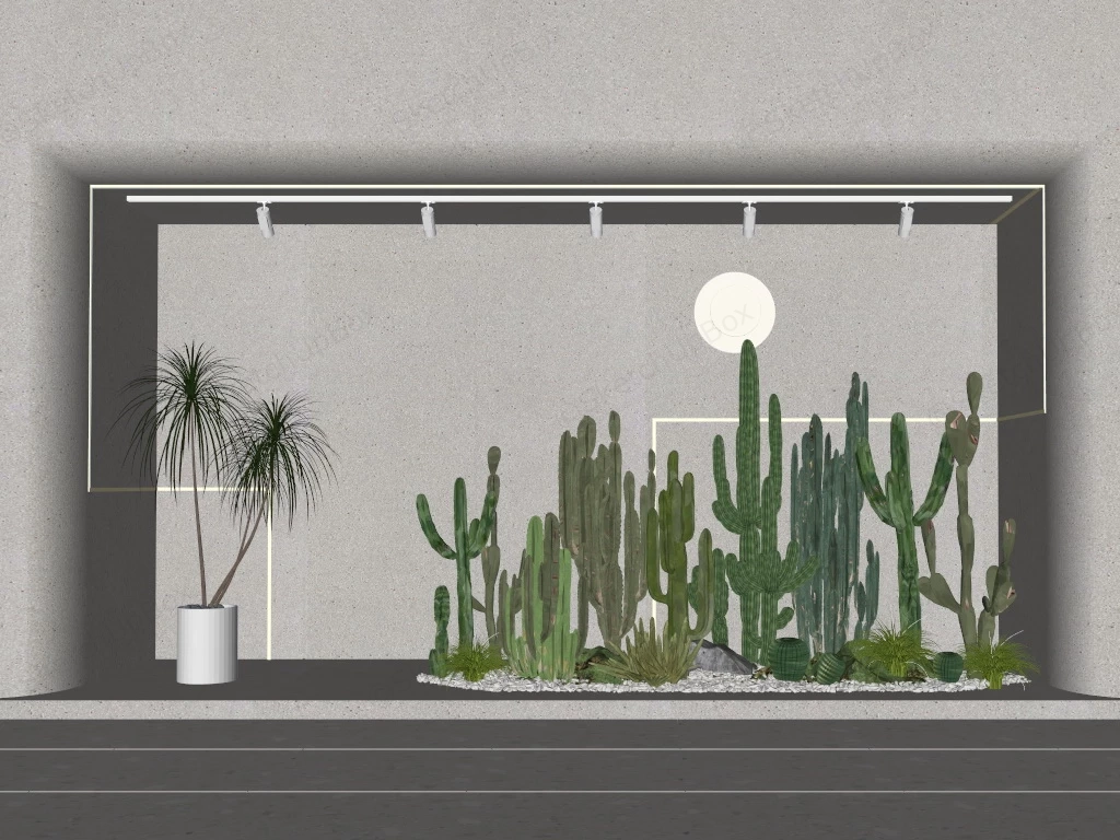 Indoor Cactus Garden sketchup model preview - SketchupBox