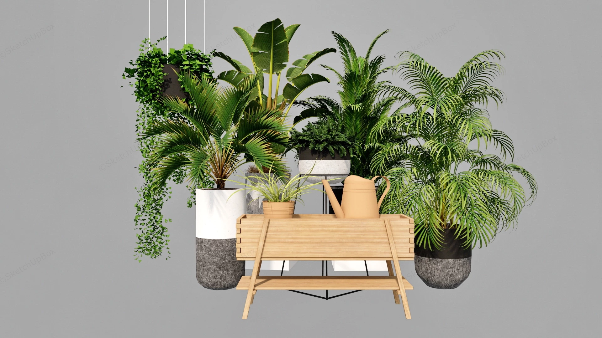 Tropical Potted Plants sketchup model preview - SketchupBox