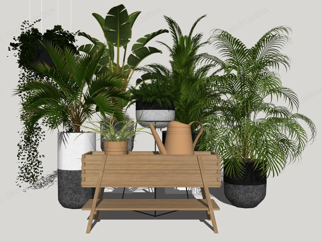 Tropical Potted Plants sketchup model preview - SketchupBox