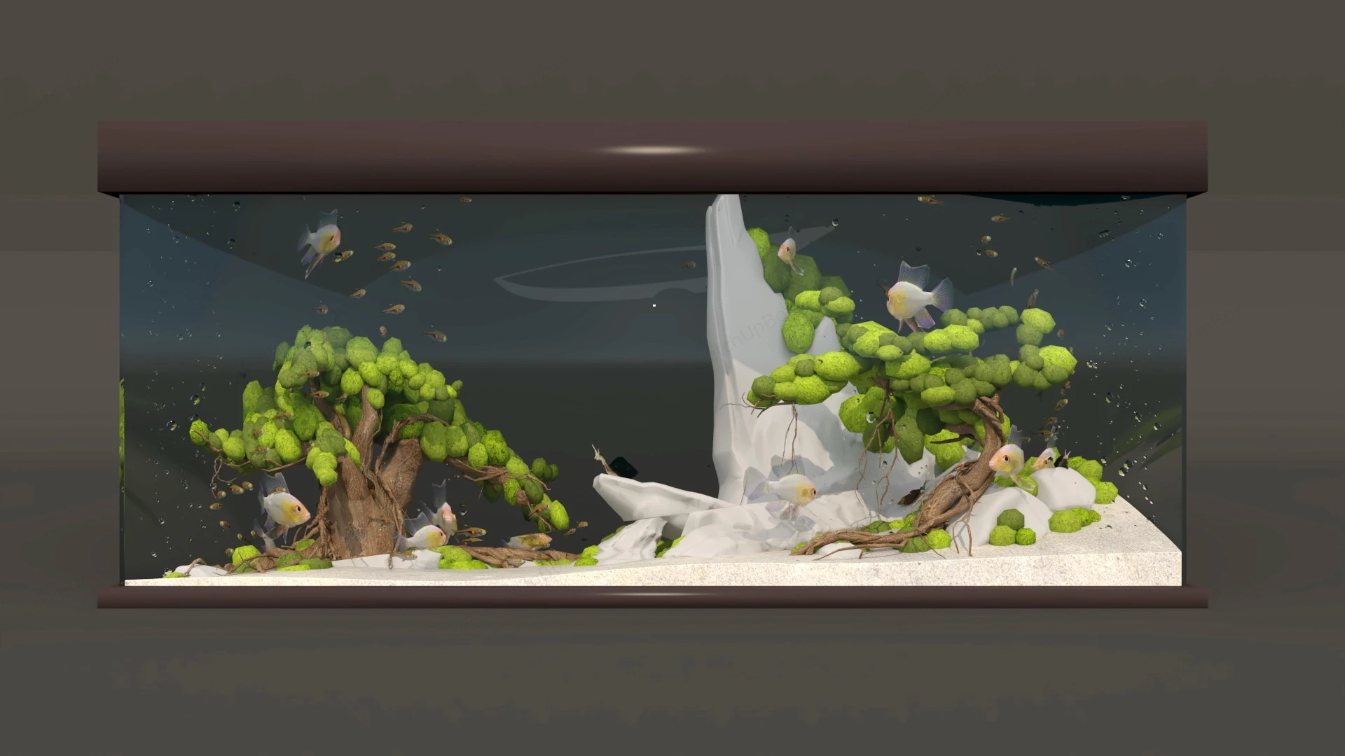 Aquarium Aquascape Idea sketchup model preview - SketchupBox