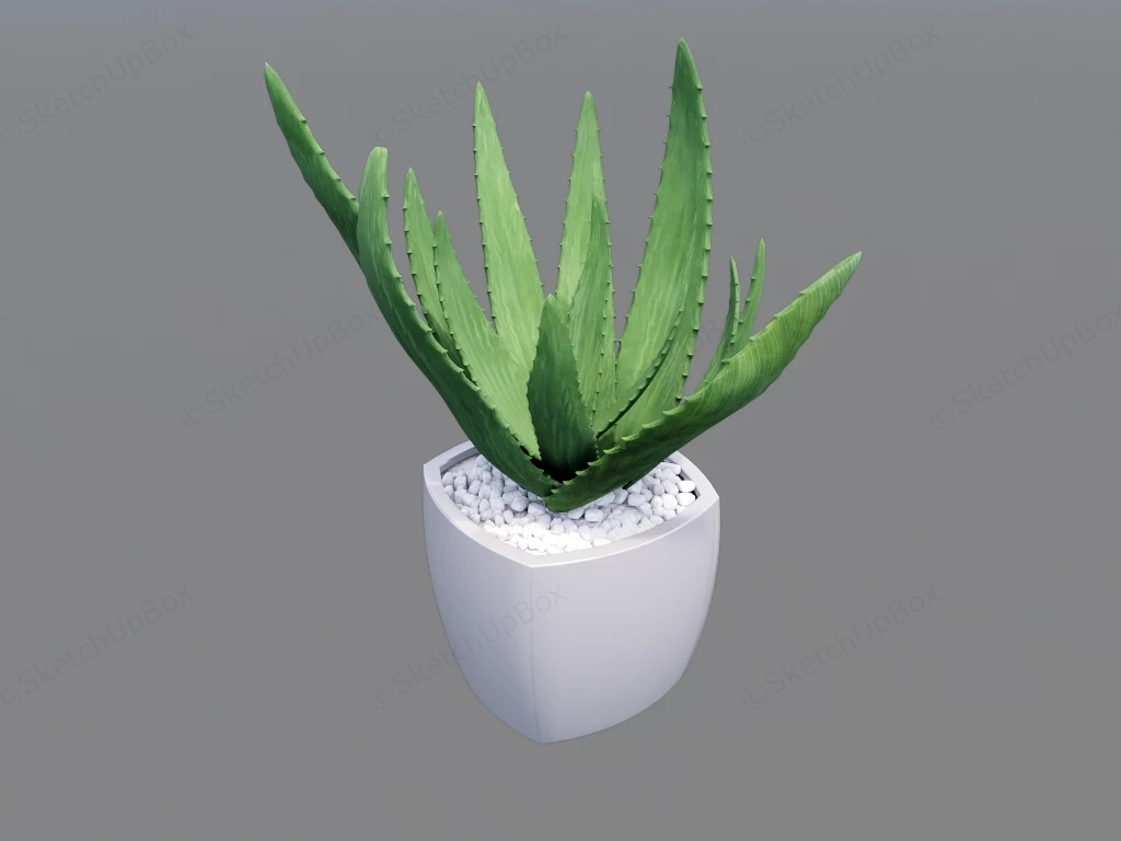 Potted Aloe Plant sketchup model preview - SketchupBox