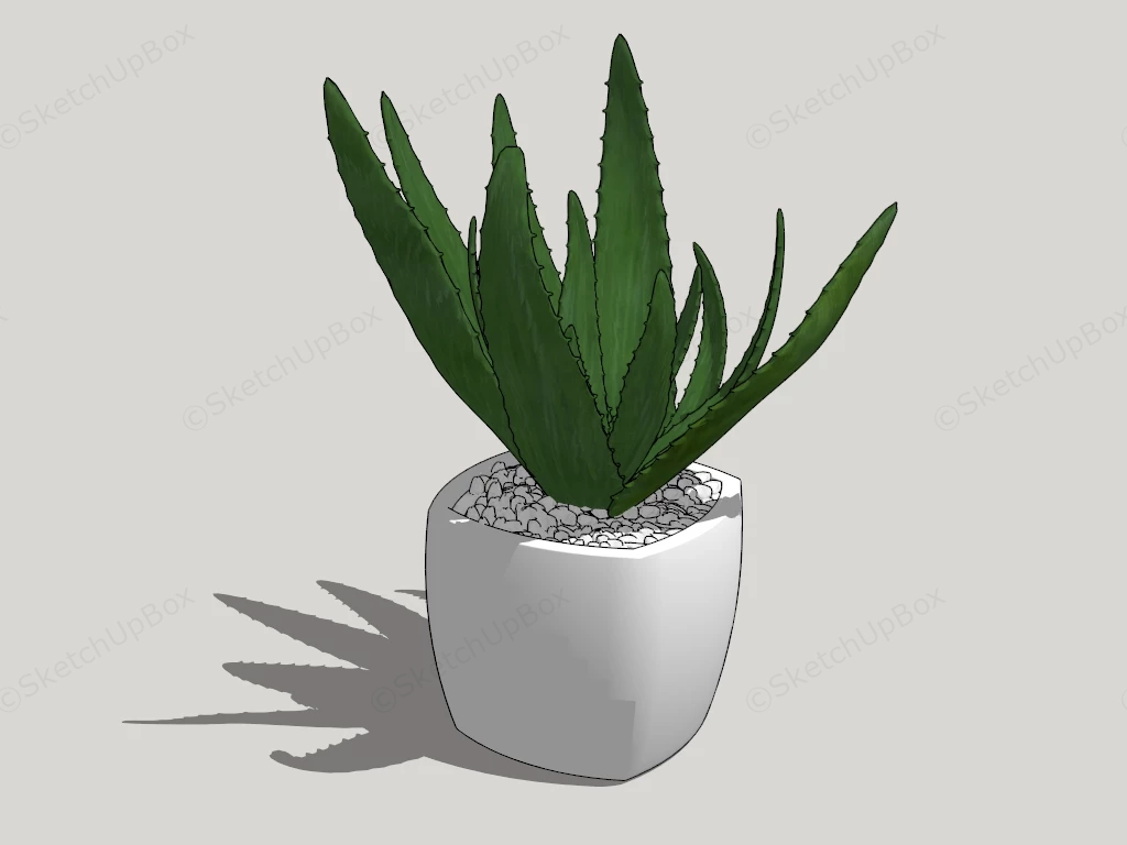 Potted Aloe Plant sketchup model preview - SketchupBox