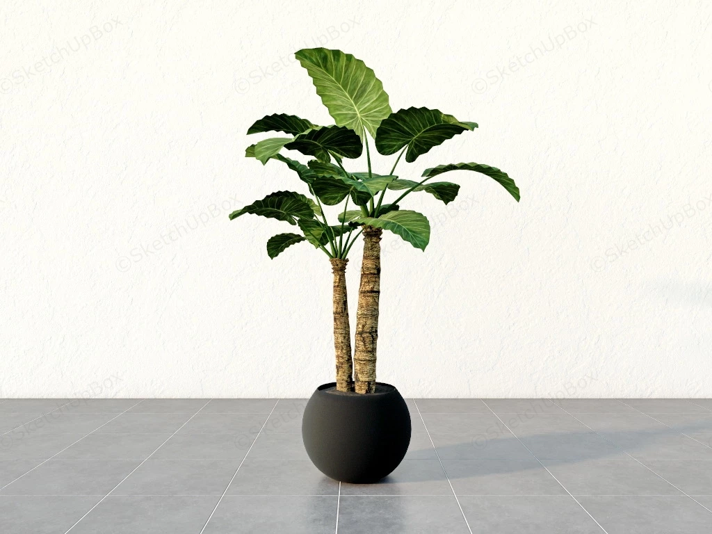 Old Stalk Monstera Deliciosa sketchup model preview - SketchupBox