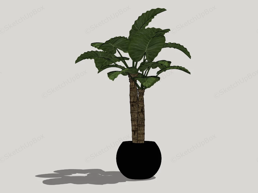 Old Stalk Monstera Deliciosa sketchup model preview - SketchupBox