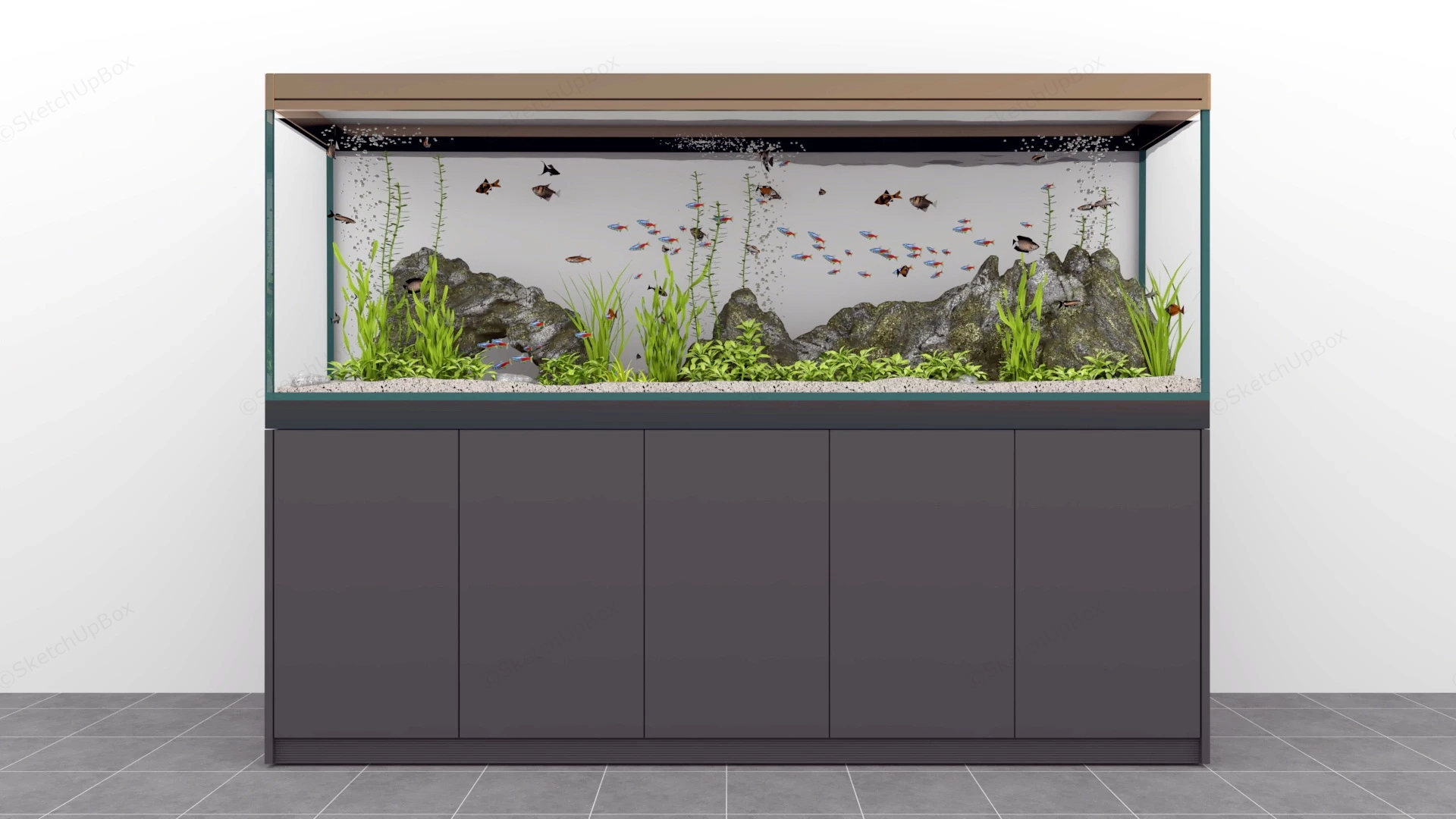 Freshwater Aquarium Aquascape Idea sketchup model preview - SketchupBox