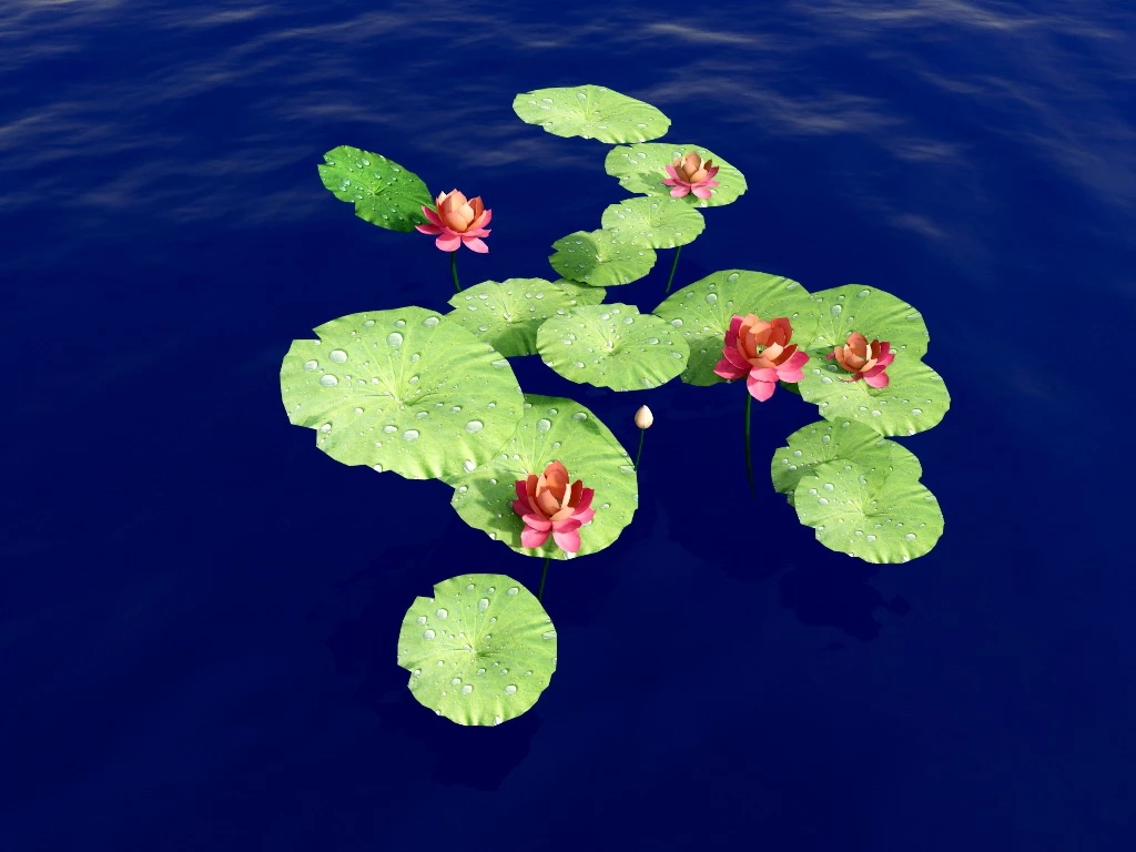 Water Lotus Plant sketchup model preview - SketchupBox