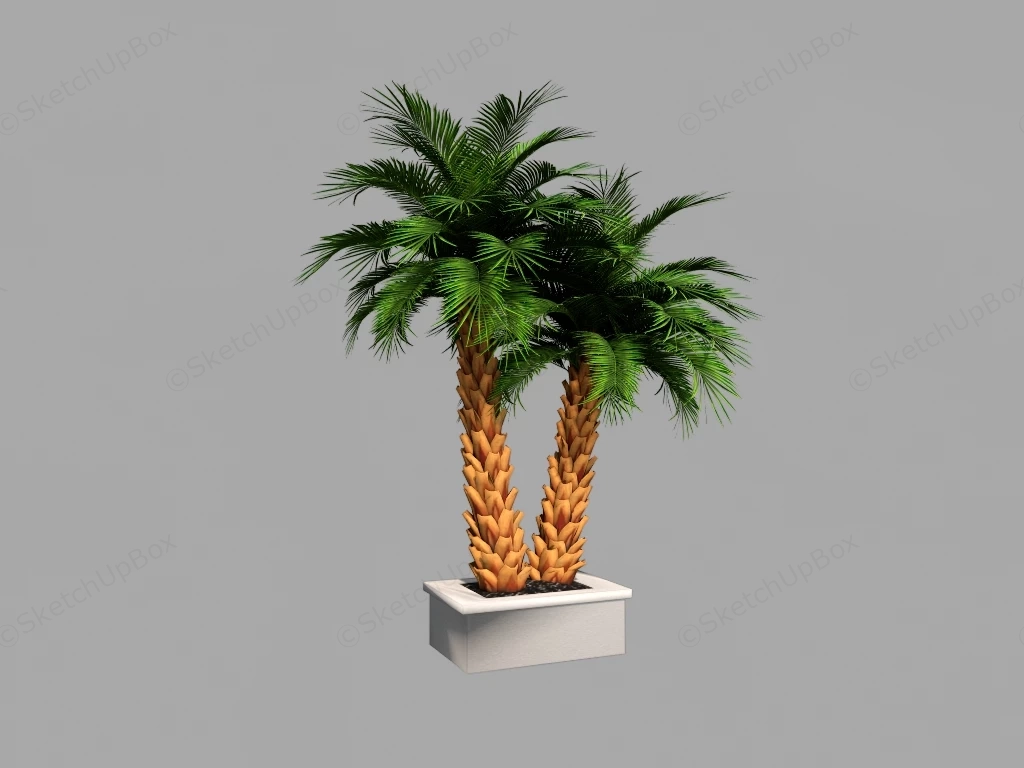 Sago Palm Plant sketchup model preview - SketchupBox