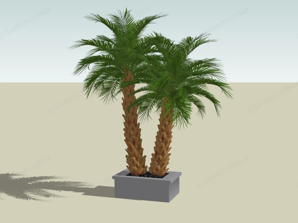 Sago Palm Plant sketchup model preview - SketchupBox