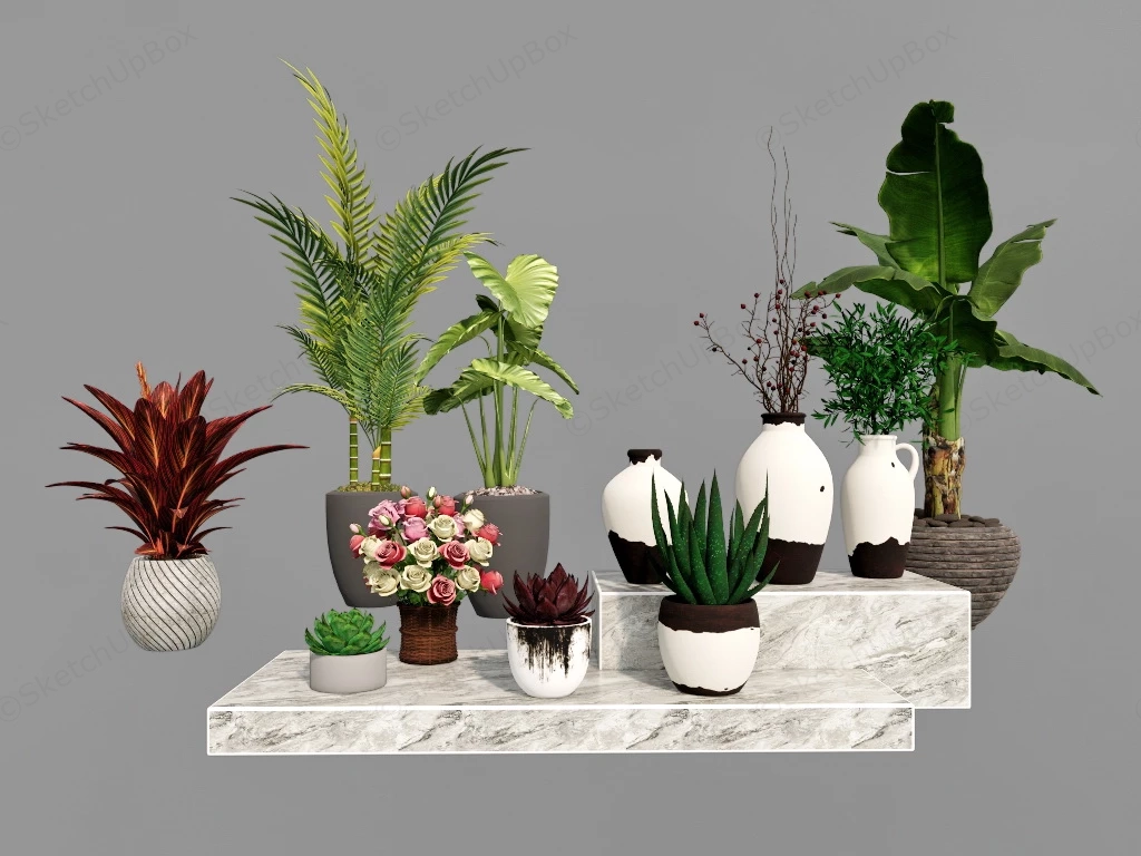 Indoor House Plants sketchup model preview - SketchupBox