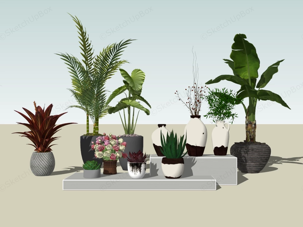 Indoor House Plants sketchup model preview - SketchupBox