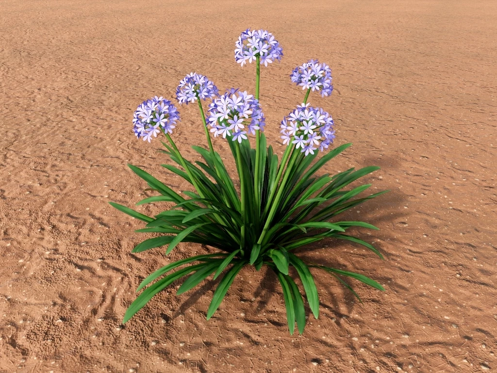 African Lily Plant sketchup model preview - SketchupBox