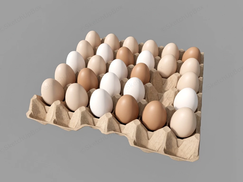 Eggs In Tray sketchup model preview - SketchupBox