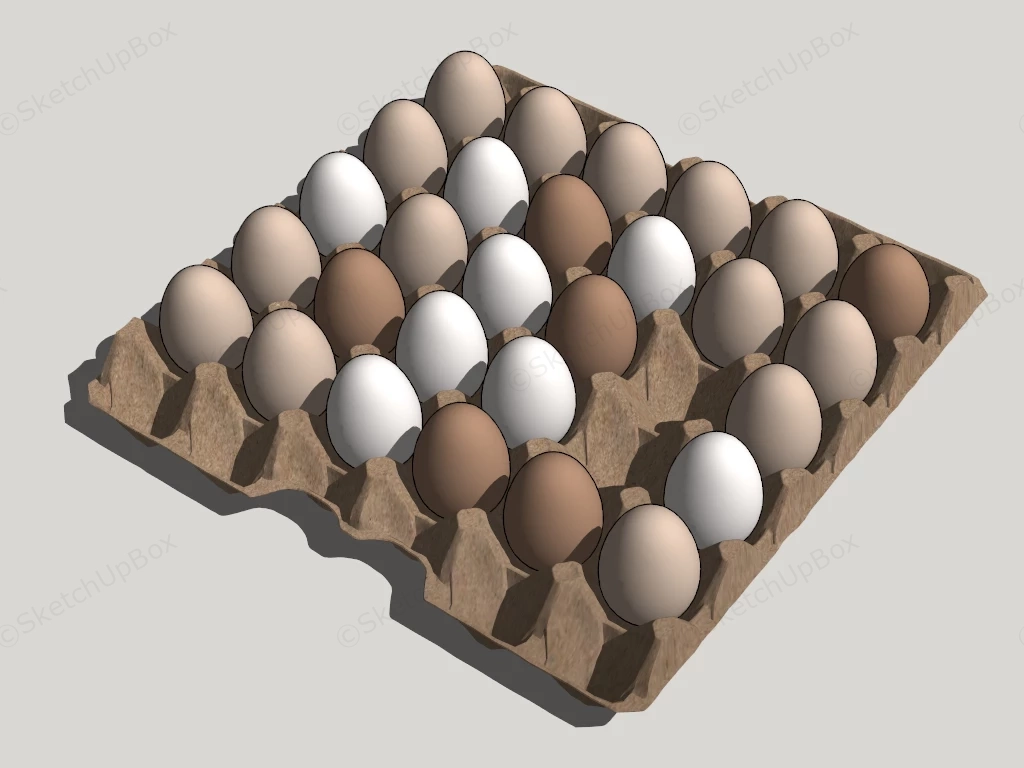 Eggs In Tray sketchup model preview - SketchupBox