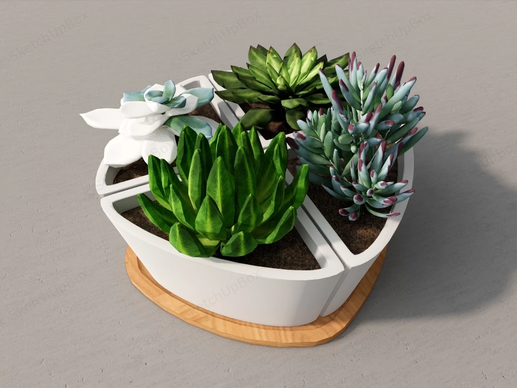 Potted Succulent Garden sketchup model preview - SketchupBox