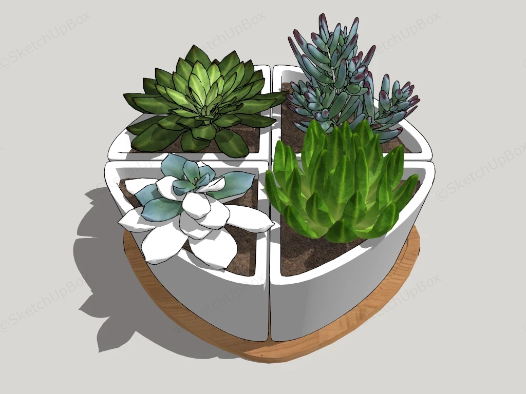 Potted Succulent Garden sketchup model preview - SketchupBox
