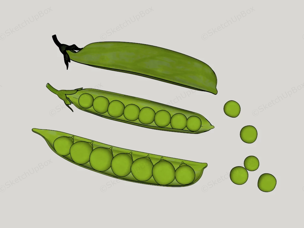 Fresh Green Peas sketchup model preview - SketchupBox