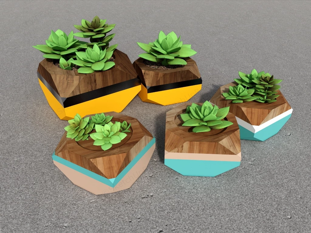 Desktop Succulent Plants sketchup model preview - SketchupBox