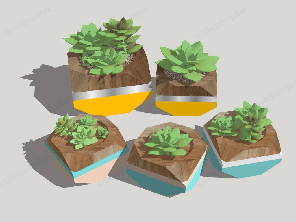 Desktop Succulent Plants sketchup model preview - SketchupBox