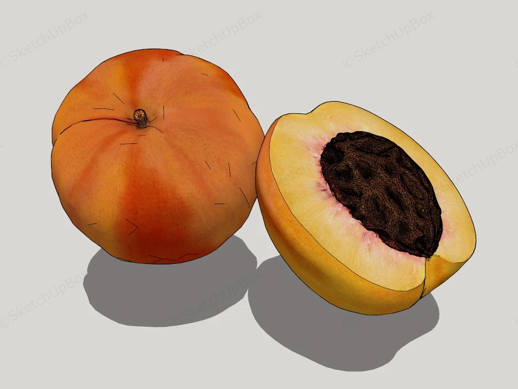 Peach Fruit sketchup model preview - SketchupBox