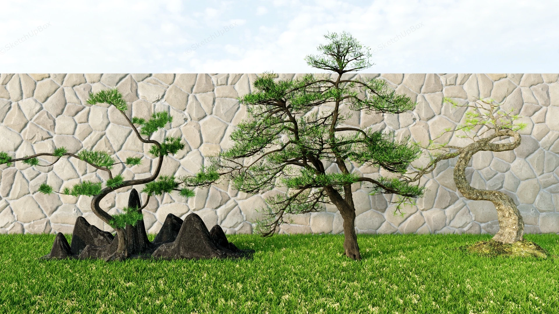Japanese Garden Pine Trees sketchup model preview - SketchupBox