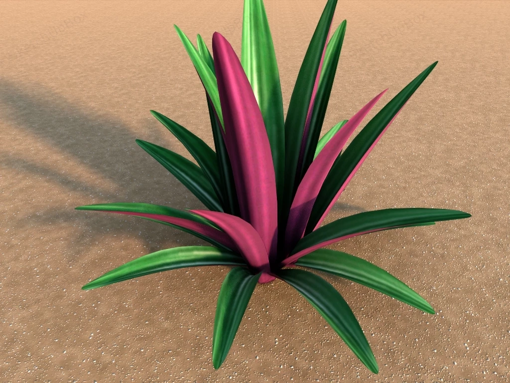 Tradescantia Spathacea sketchup model preview - SketchupBox