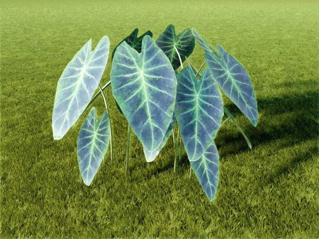 Imperial Taro Plant sketchup model preview - SketchupBox