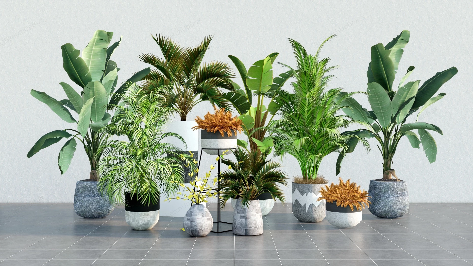 Tropical Foliage Houseplants sketchup model preview - SketchupBox