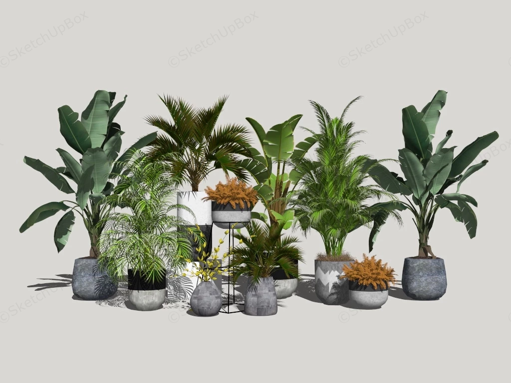 Tropical Foliage Houseplants sketchup model preview - SketchupBox