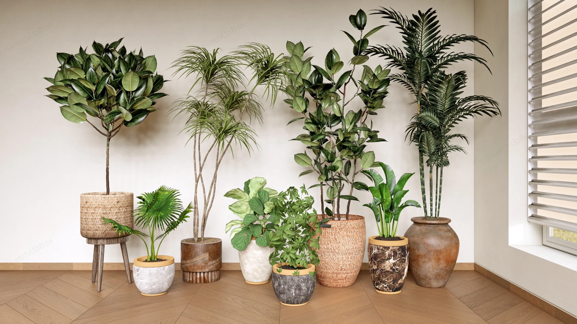 Ornamental Foliage Houseplants sketchup model preview - SketchupBox