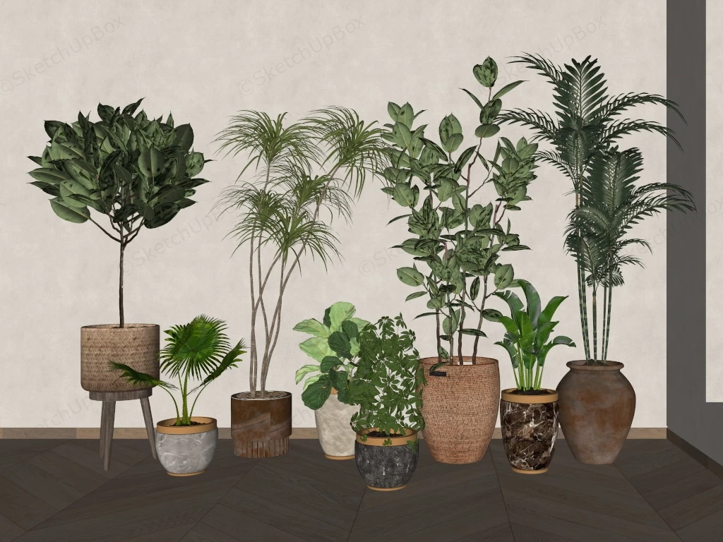 Ornamental Foliage Houseplants sketchup model preview - SketchupBox