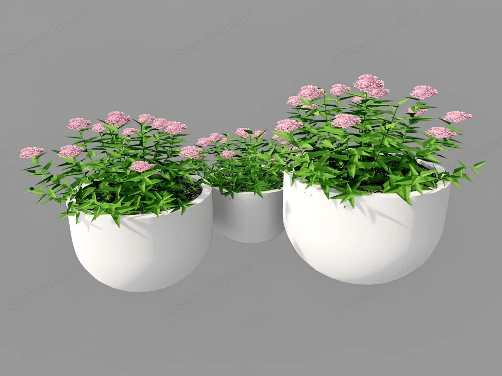 Potted Flowering Plants sketchup model preview - SketchupBox