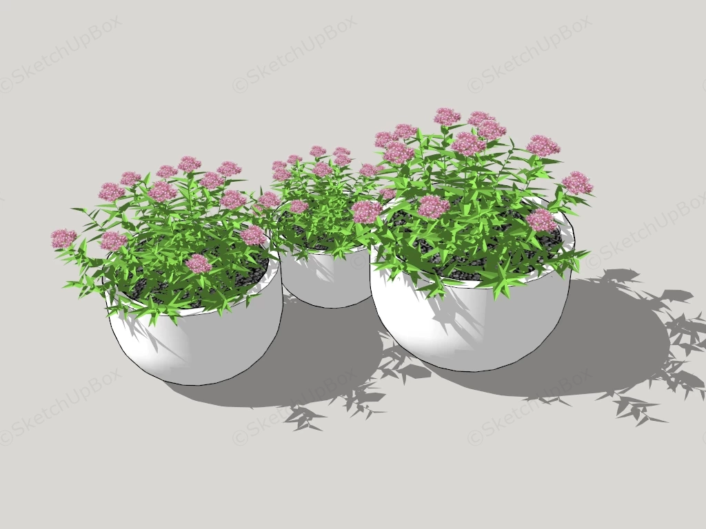 Potted Flowering Plants sketchup model preview - SketchupBox