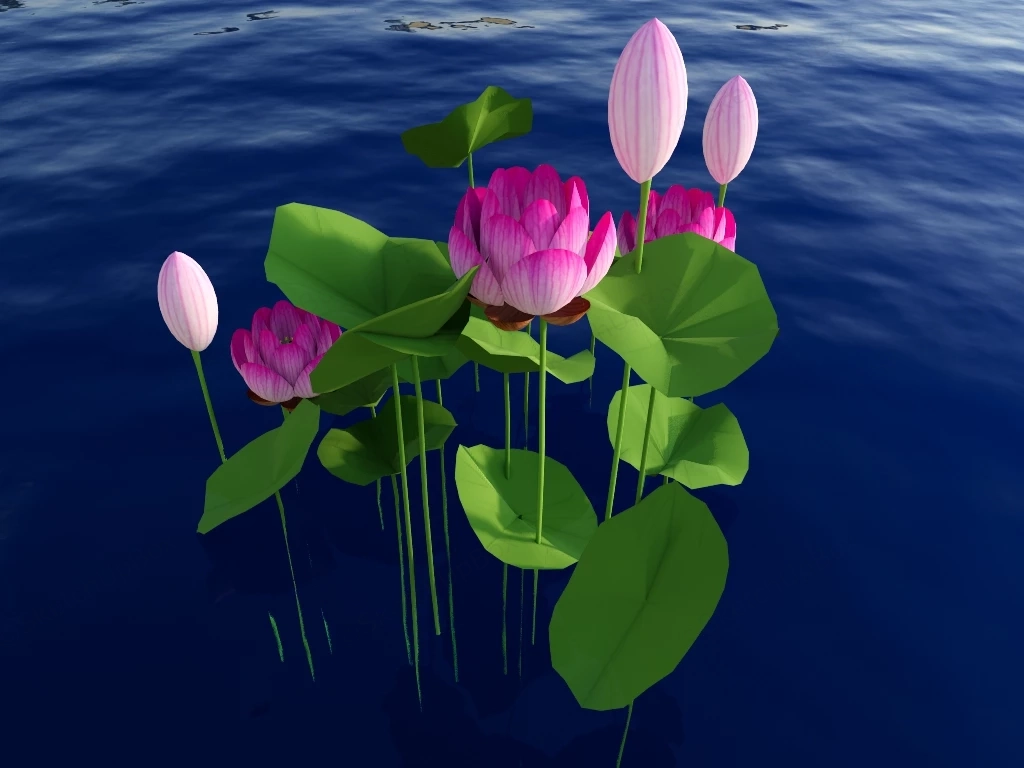 Water Lotus Plants sketchup model preview - SketchupBox