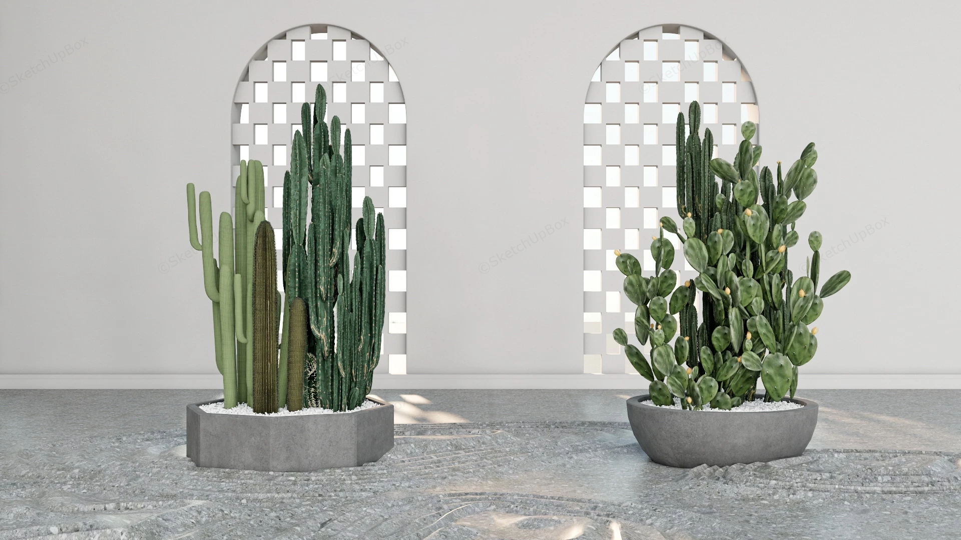 Indoor Cactus Garden Design sketchup model preview - SketchupBox