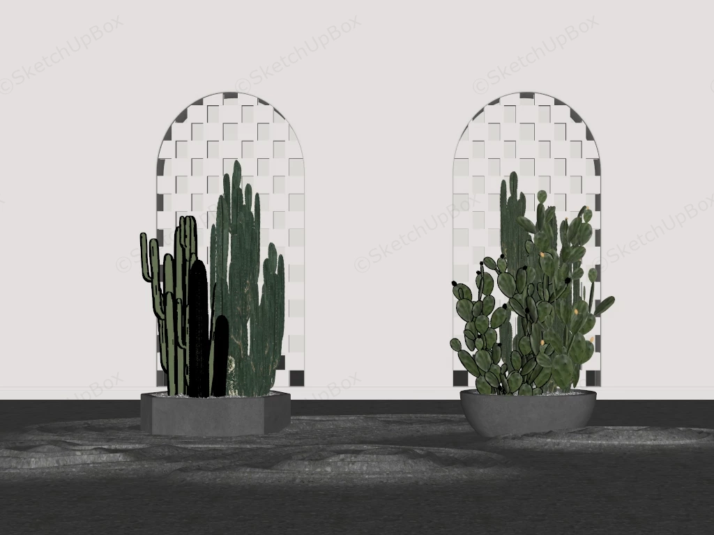Indoor Cactus Garden Design sketchup model preview - SketchupBox