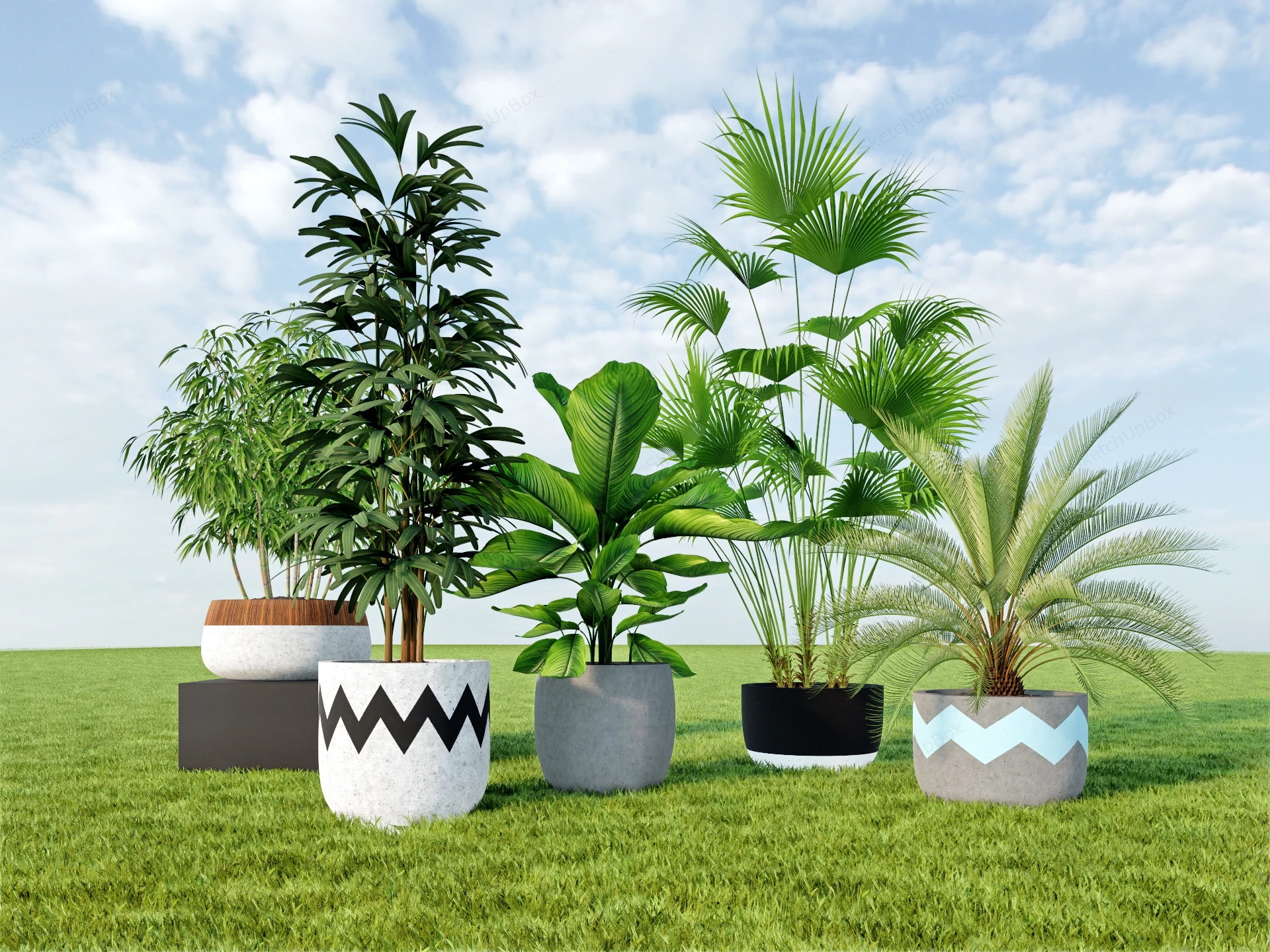 Large Potted Plants sketchup model preview - SketchupBox