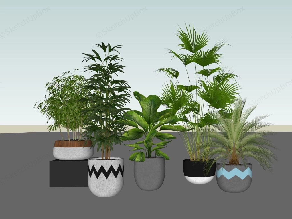 Large Potted Plants sketchup model preview - SketchupBox