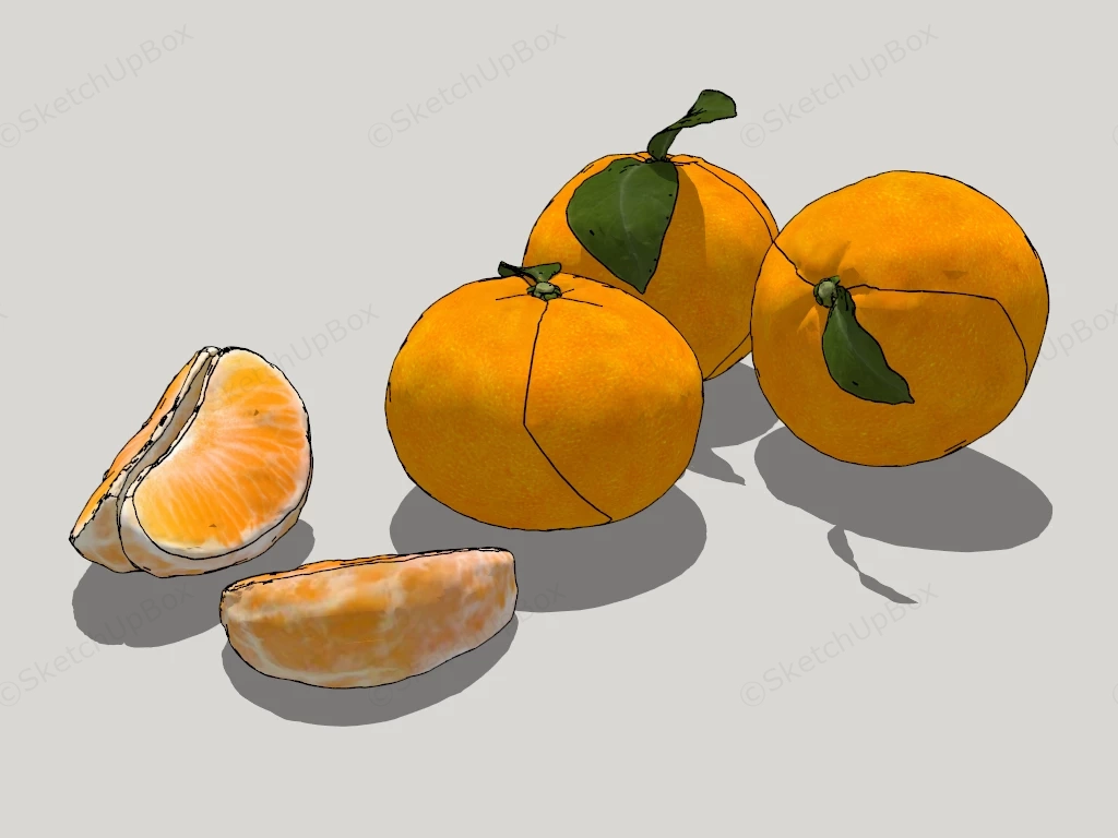 Fresh Mandarin Oranges sketchup model preview - SketchupBox
