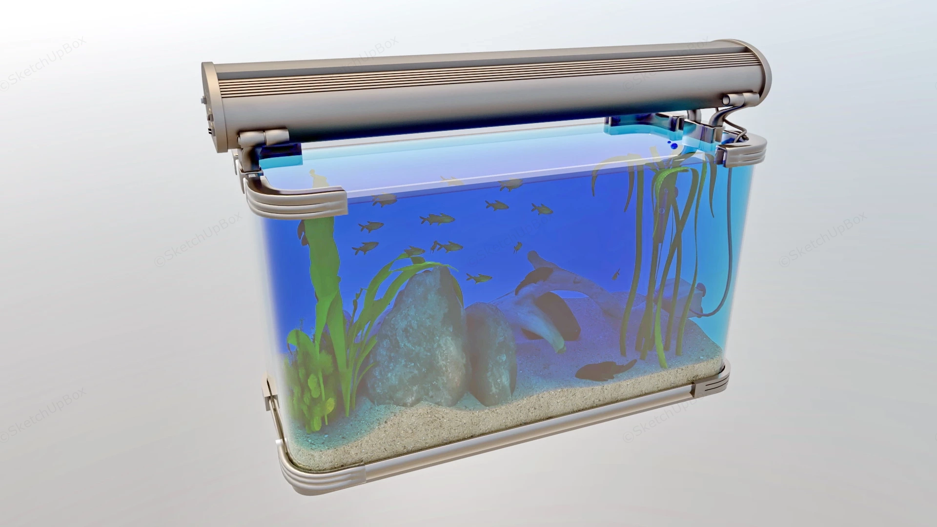 Tropical Fish Tank sketchup model preview - SketchupBox