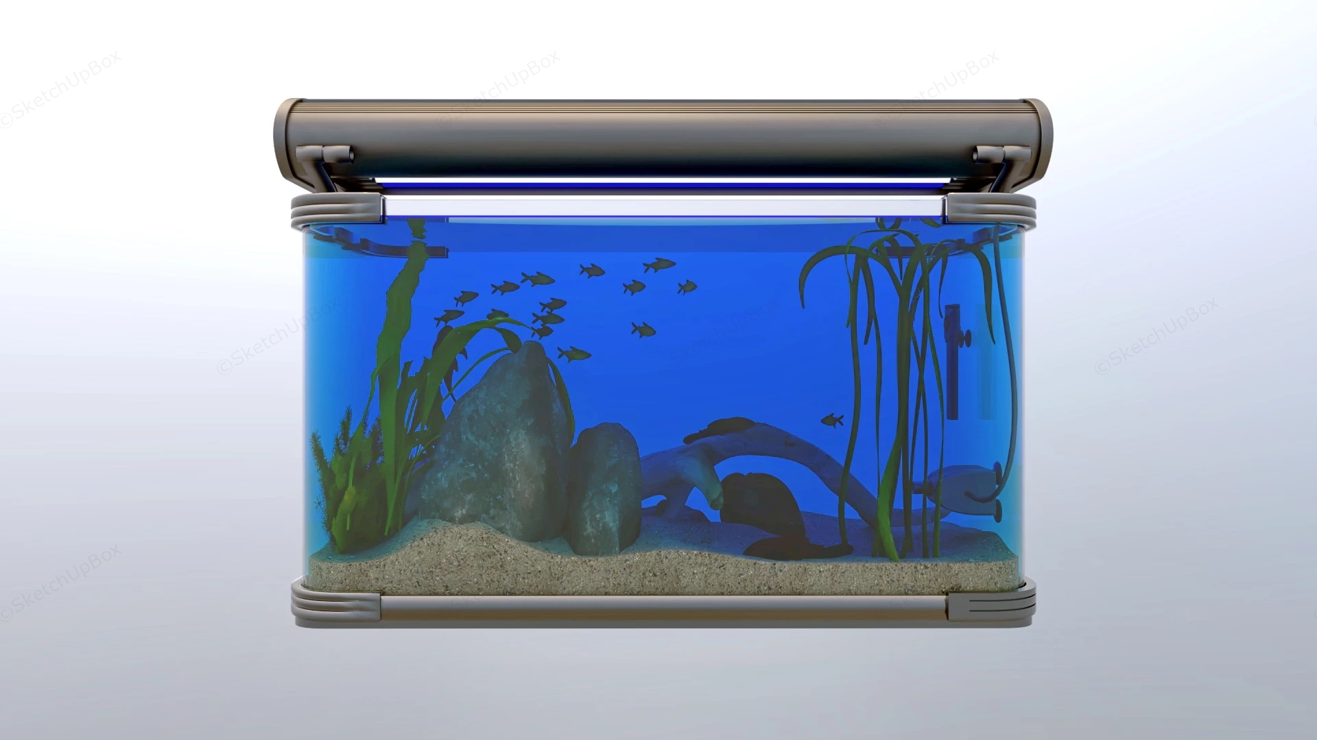 Tropical Fish Tank sketchup model preview - SketchupBox