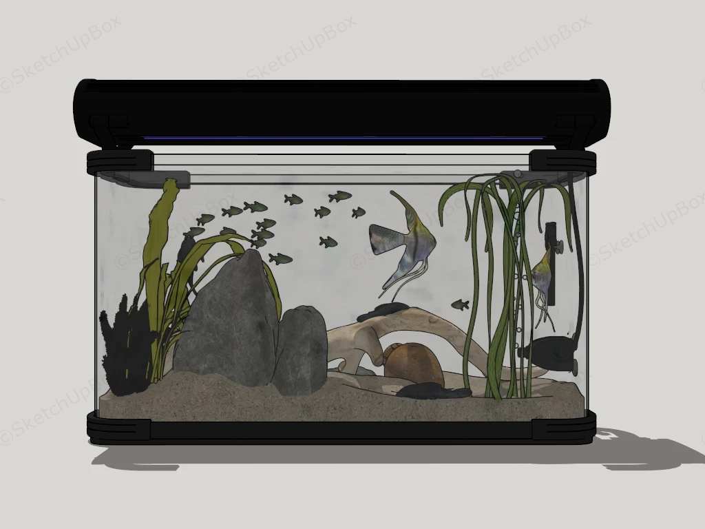 Tropical Fish Tank sketchup model preview - SketchupBox