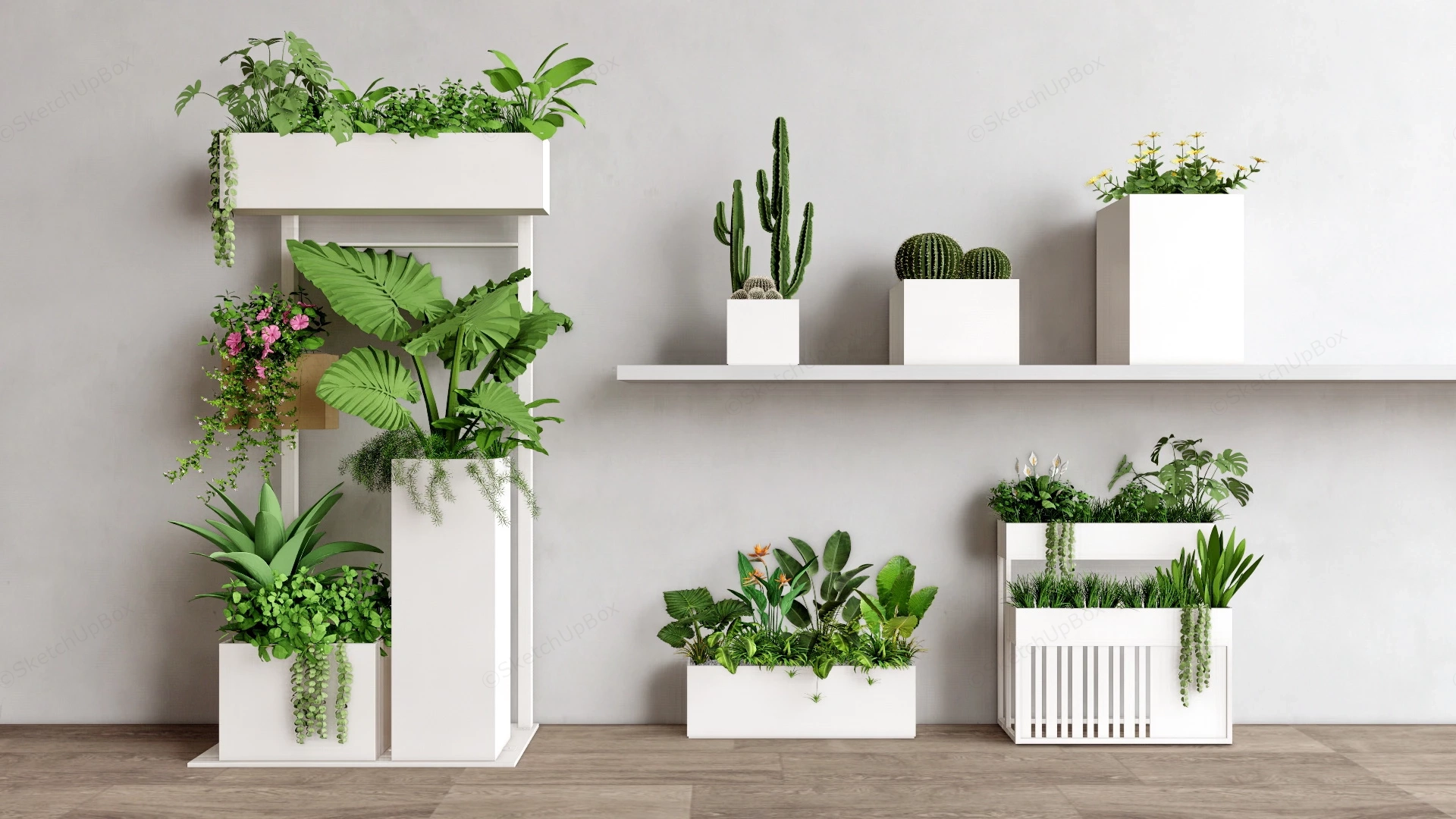 Minimalist Indoor Plants sketchup model preview - SketchupBox