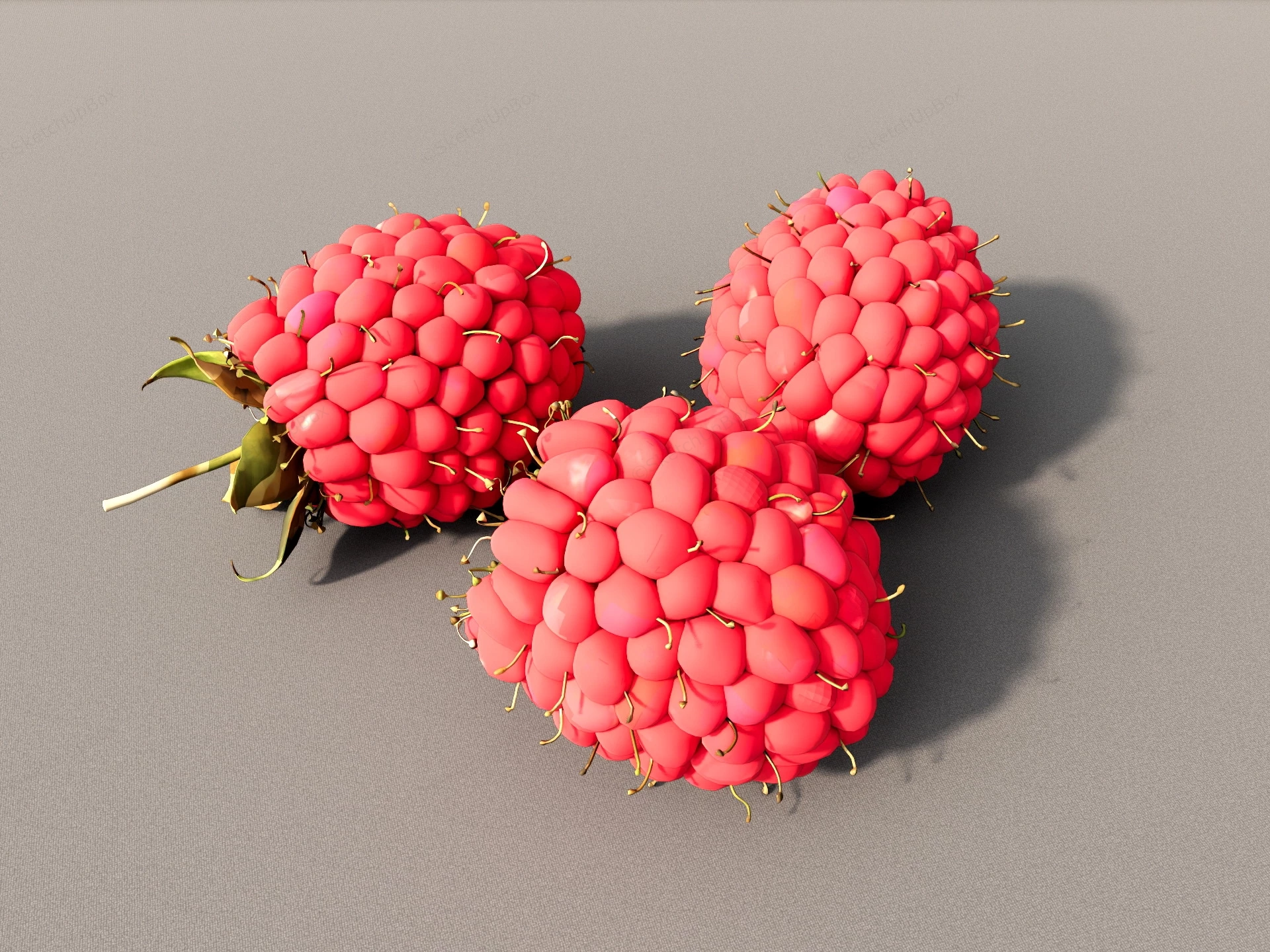 Raspberry Fruit sketchup model preview - SketchupBox