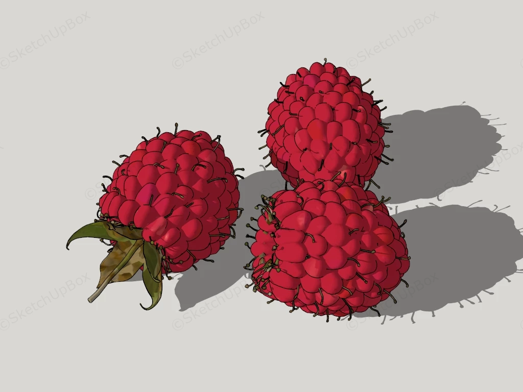 Raspberry Fruit sketchup model preview - SketchupBox