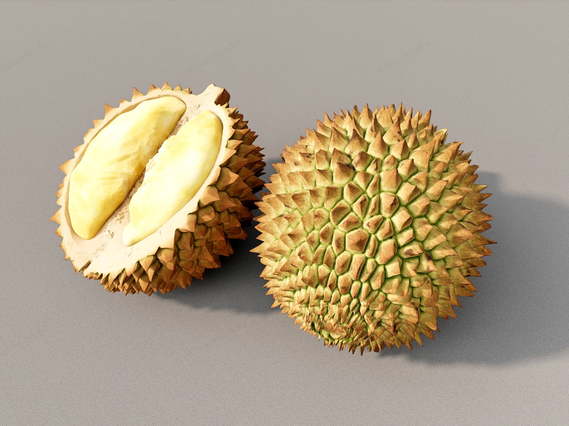 Durian Fruit sketchup model preview - SketchupBox