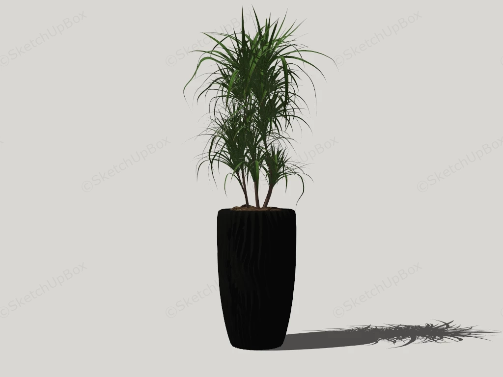 Tall Planter Dragon Tree sketchup model preview - SketchupBox