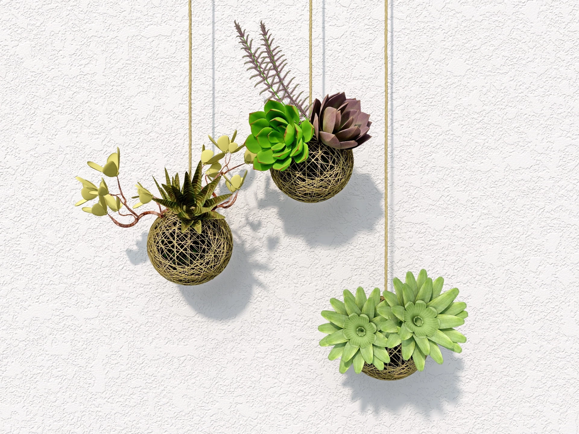 Hanging Succulent Plants sketchup model preview - SketchupBox