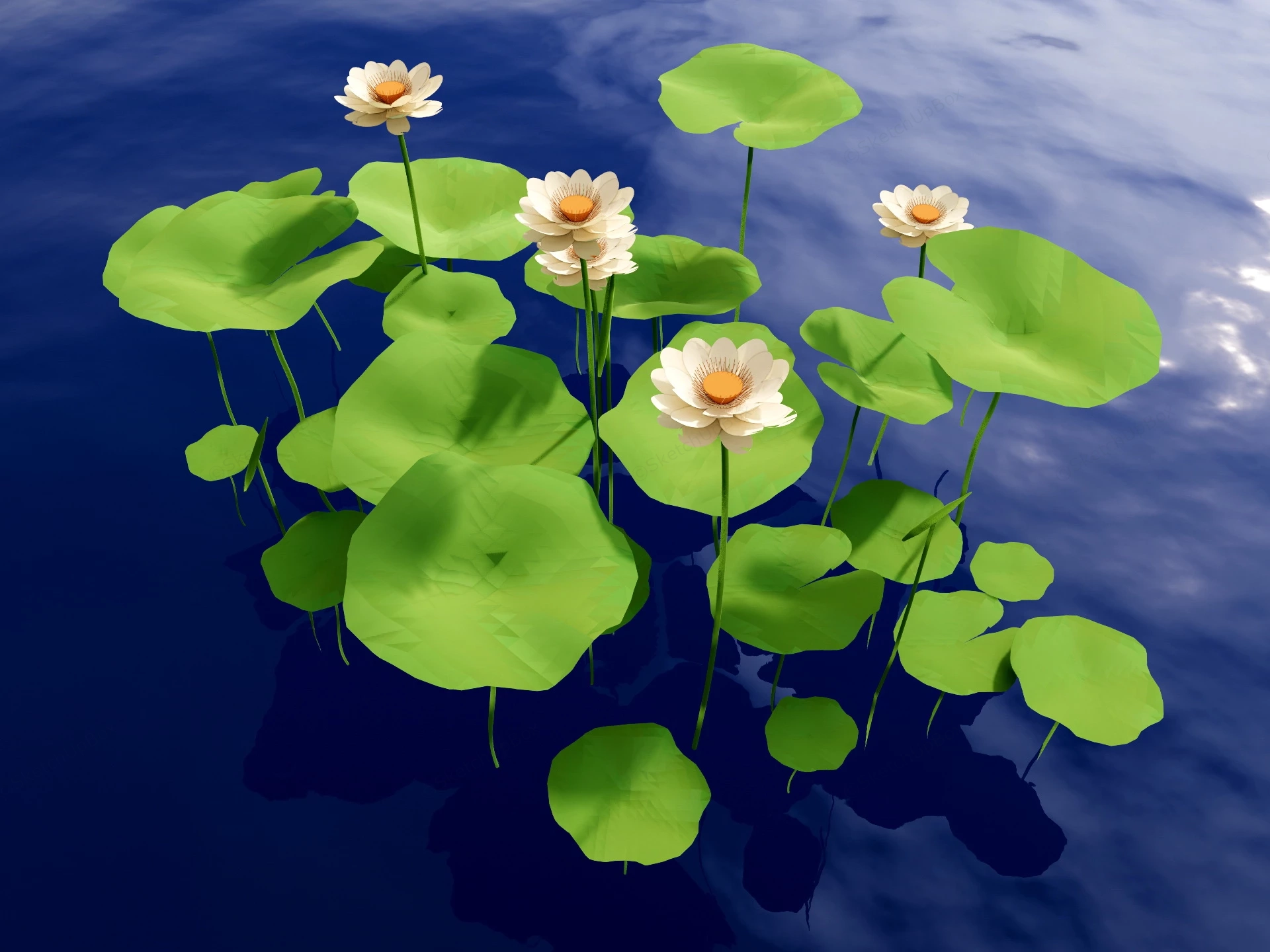 White Water Lily Flower Plant sketchup model preview - SketchupBox